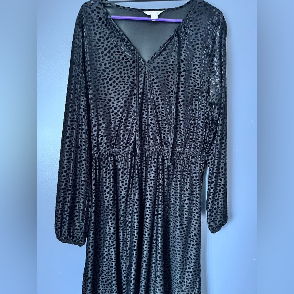 Joe Fresh Black Dress with Leopard Accents